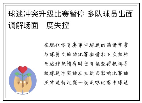 球迷冲突升级比赛暂停 多队球员出面调解场面一度失控